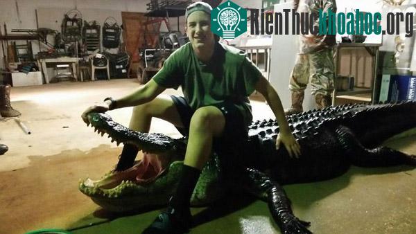 Bắt được cá sấu nặng 420 kg