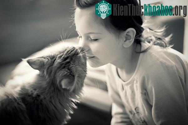 Vì sao mèo thích tha "chiến lợi phẩm" về nhà