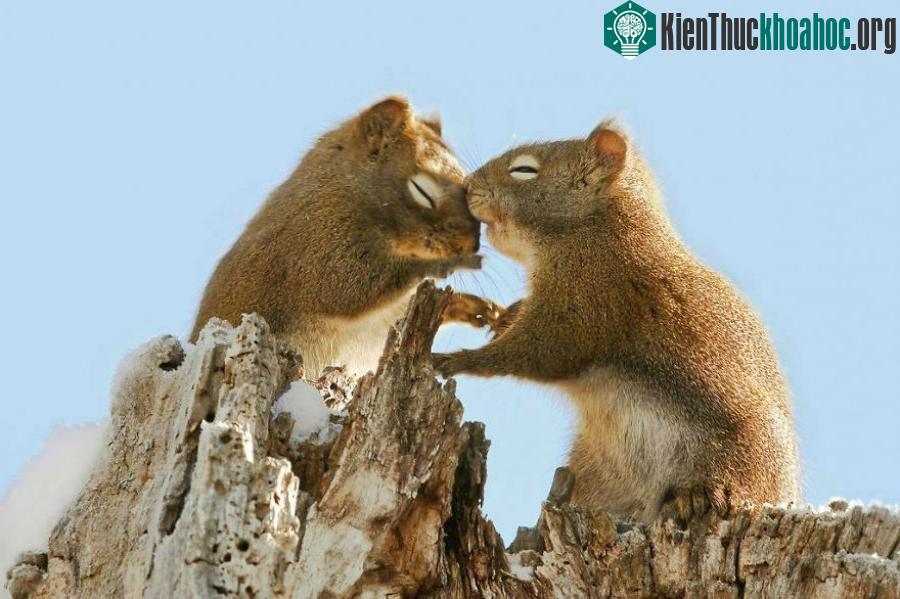Dành cho nhau những hành động yêu thương