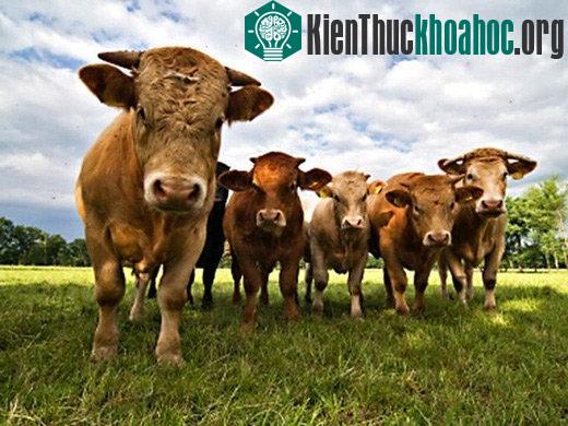 Những điều đáng sợ bạn chưa biết về thế giới tự nhiên
