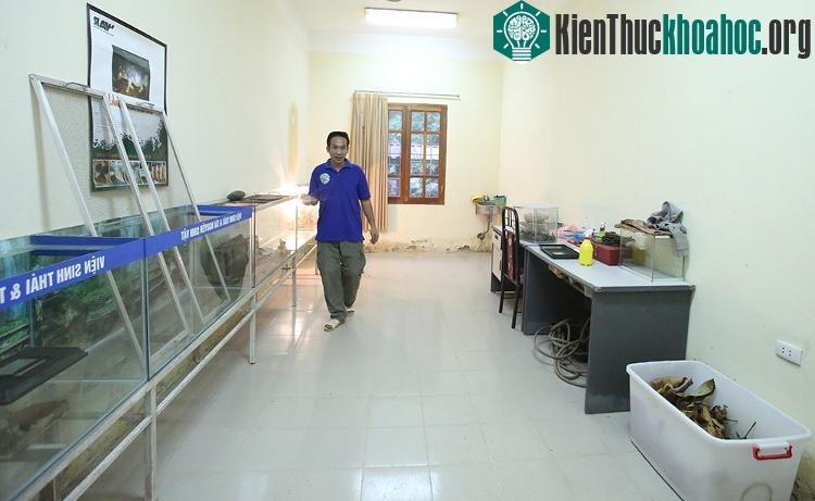 Theo nhân viên tại Trạm này, thằn lằn cá sấu là loài động vật biến nhiệt nên nuôi không dễ
