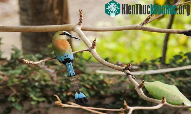 Ảnh: My Lit’l Eye/Shutterstock.