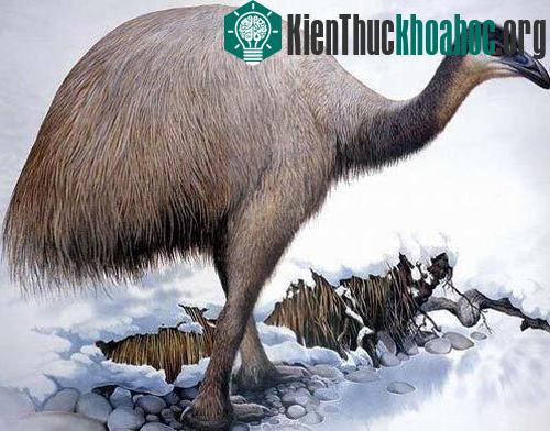 10 loài động vật tuyệt chủng thời cổ đại có hi vọng hồi sinh