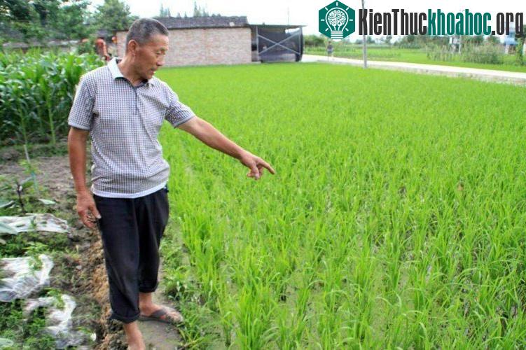 2 loài động vật thời cổ đại hiếm thấy vừa tái xuất