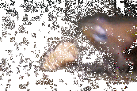 (Nguồn: L25)