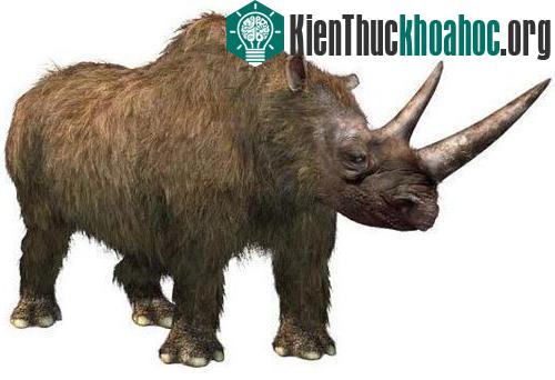 10 loài động vật tuyệt chủng thời cổ đại có hi vọng hồi sinh