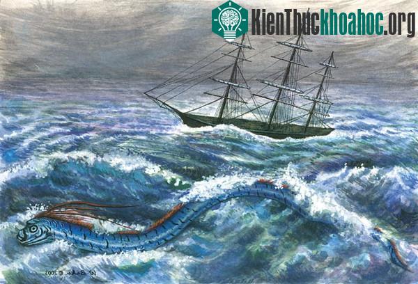 Loài "rồng biển" có khả năng dự báo động đất trôi vào biển Việt Nam