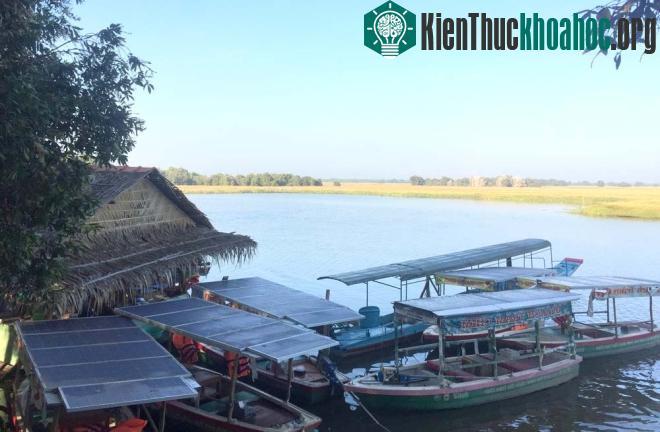 Những chiếc thuyền chạy bằng năng lượng mặt trời không gây tiếng ồn và ô nhiễm được WWF trang bị cho Vườn quốc gia Tràm Chim trong các hoạt động du lịch, dần thay thế tàu động cơ xăng/dầu.