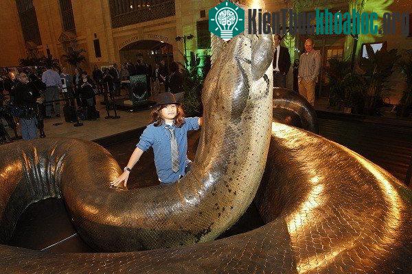 Hình ảnh mô phỏng lại loài trăn Titanoboa