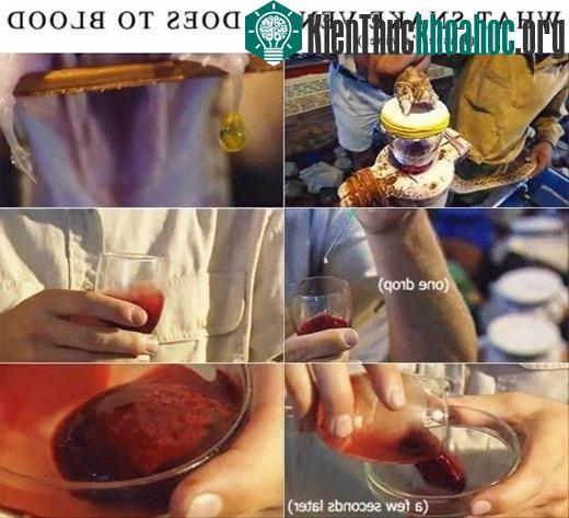 Những điều đáng sợ bạn chưa biết về thế giới tự nhiên