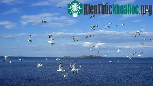 Ảnh:&nbsp;hdwallpapers.in