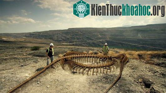 Tái tạo bộ xương của rắn Titanoboa - (Ảnh: Kênh Smithsonian)