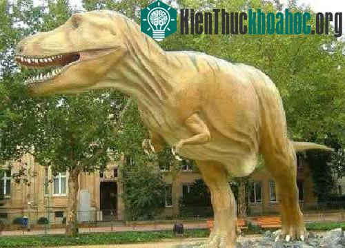 Những động vật tuyệt chủng cổ đại