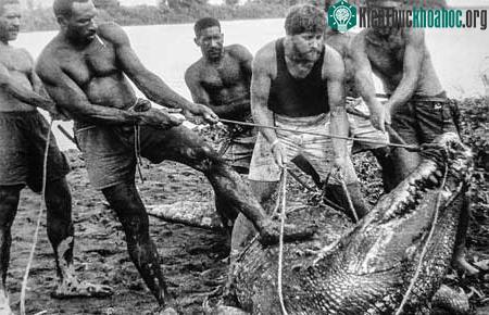 Sự vật về Cassius - Cá sấu "khủng" nhất thế giới