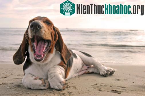 Ảnh: Fotolia