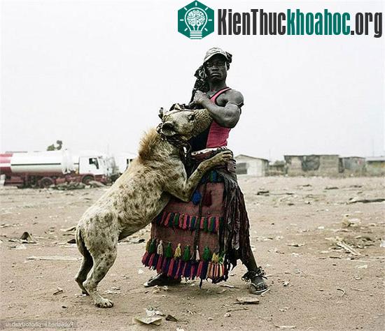 Bí ẩn loài thú phát ra tiếng cười man rợ