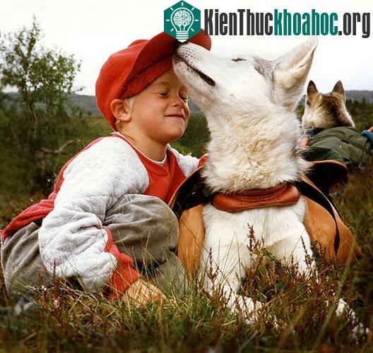 10 động vật dễ thương là “quái thú” ăn thịt đồng loại