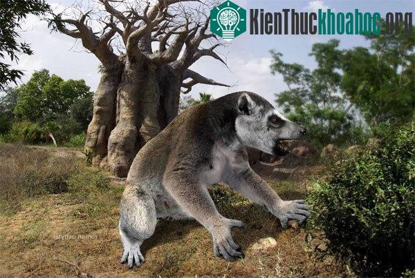 Những động vật tuyệt chủng bị con người lãng quên