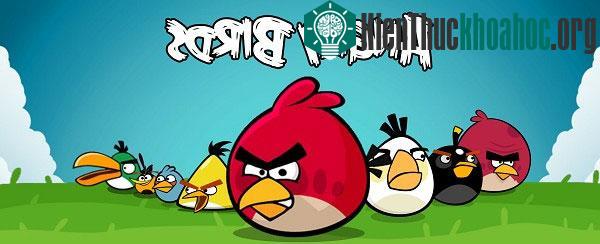 Những con cú với bộ mặt cau có được so sánh với những chú chim trong trò chơi Angry Bird