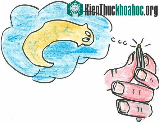Bí ẩn loài giun "sống nhăn răng" dù bị giết hàng trăm lần