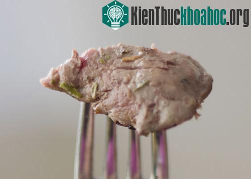 Những điều thú vị của loài ngựa