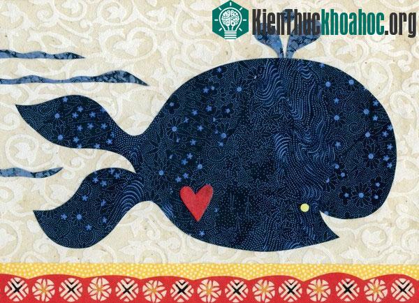 6 loài động vật sở hữu trái tim "kì quặc" nhất quả đất