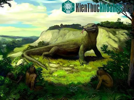 Megalania Prisca