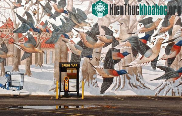 Tìm hiều về sự tồn tại của đàn chim hàng tỷ con