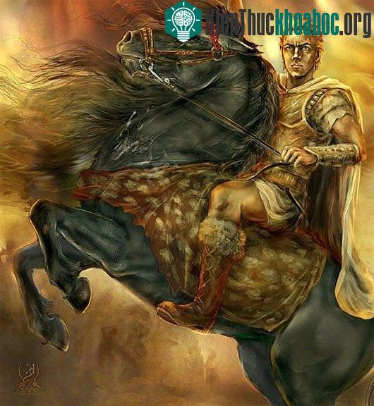 Bucephalus thuộc loài Thessalian. (Ảnh: Dcbuilding)