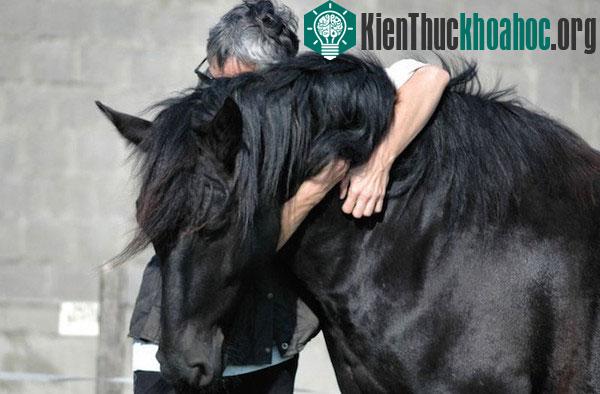 Loài dơi gieo rắc bệnh tật trên toàn cầu như thế nào?