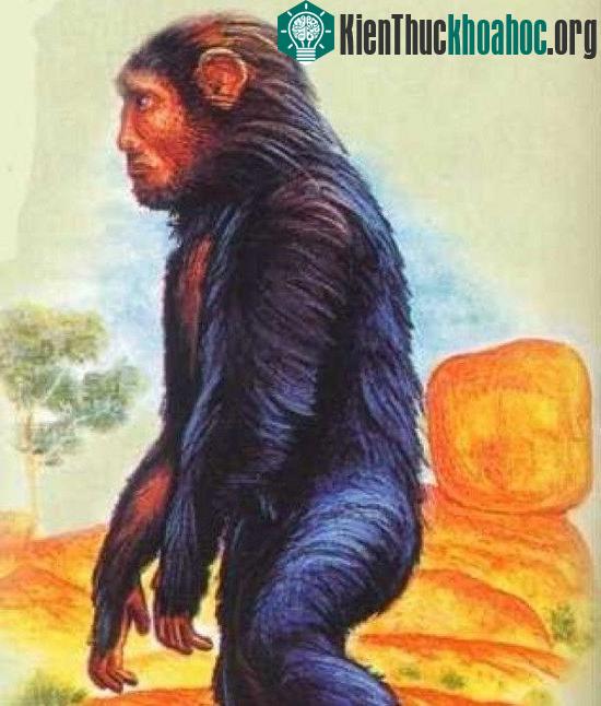 Yowie