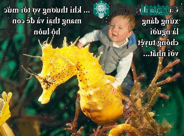 Fun fact về chuyện yêu đương "buồn cười" trong giới động vật
