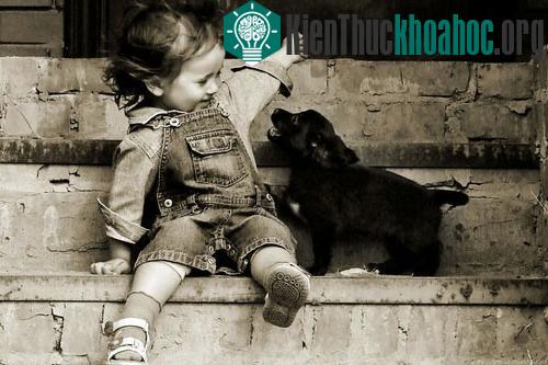 Chó sống gần gũi với con người cũng có khả năng nhận biết những biểu hiện tích cực trên khuôn mặt
