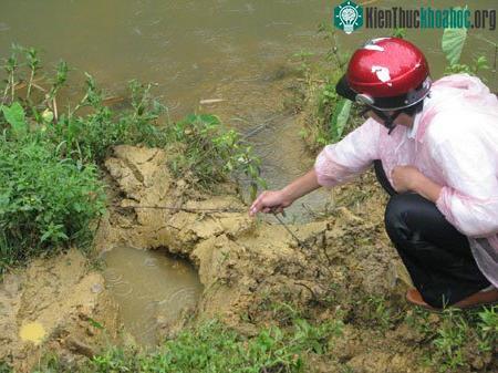 Voi dữ tấn công làm chết người