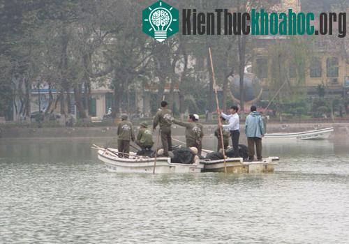 Tìm cụ Rùa thứ 2 tại hồ Gươm ảnh 0