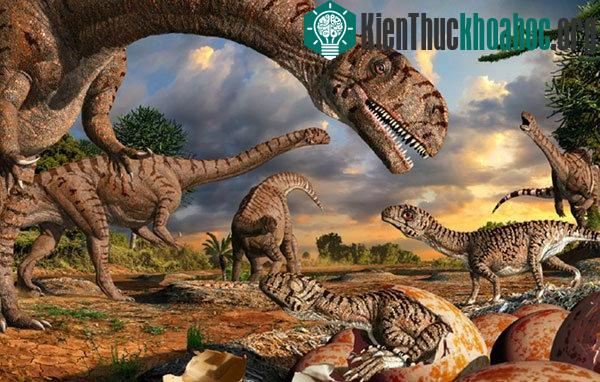 Khủng long không phải là loài chiếm ưu thế tuyệt đối trong cuộc chiến cạnh tranh. (Nguồn: Discovery)