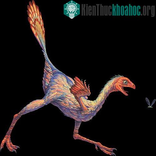Khủng long Caudipteryx