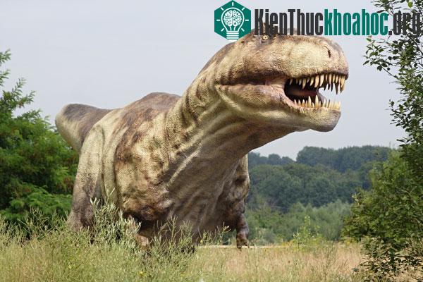 Khủng long bạo chúa Tyrannosaurus Rex