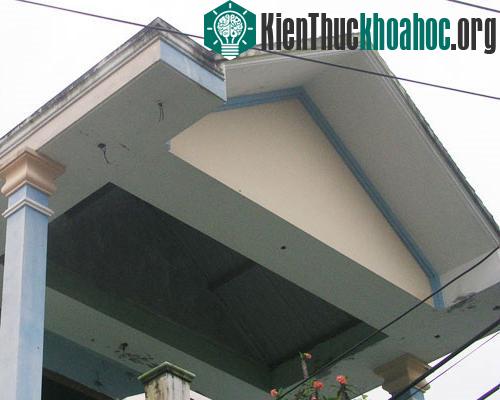 Nhà ông Phô, nơi phát hiện tổ chim lạ