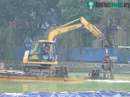 Dùng gầu máy vét bùn hồ Gươm: Lo cho môi trường sống của cụ Rùa ảnh 1