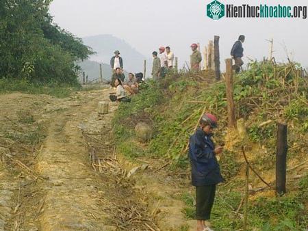 Voi dữ tấn công làm chết người