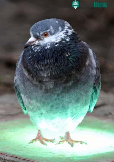 Ảnh đẹp trong tuần ảnh 2
