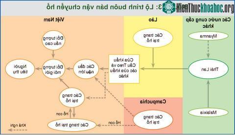 Điều tra nạn buôn bán hổ tại Việt Nam ảnh 2