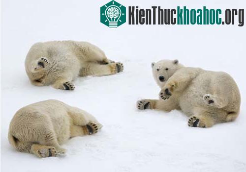 Ảnh đẹp trong tuần ảnh 3