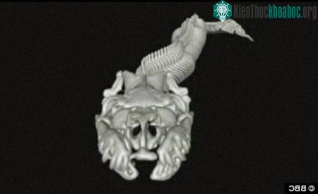 Khám phá hành trình 'tiêu hóa' của trăn ảnh 3
