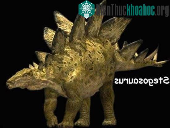 Clip: Dạo chơi cùng khủng long ảnh 4