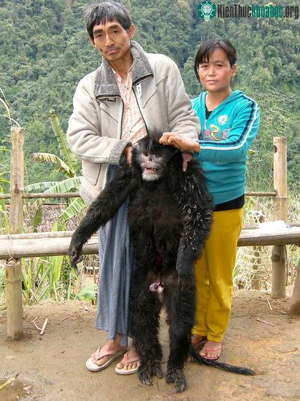 10 loài động vật mới "kỳ dị" nhất năm 2010 ảnh 4