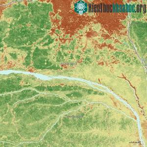 “Soi” trữ lượng các-bon trong khu vực rừng ở Equateur &nbsp;Cộng hòa Dân chủ Congo (Ảnh: Mongabay.com)