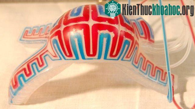 Robot thân mềm di chuyển bằng 4 chân. (Ảnh: Đại học Harvard)