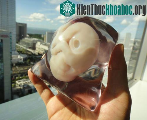 Một sản phẩm hoàn chỉnh - (Ảnh: Fasotec)